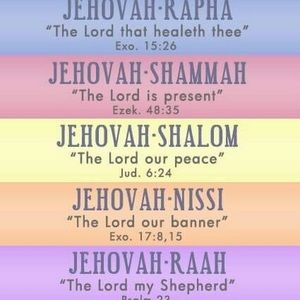 Meet your Posher, Sheila